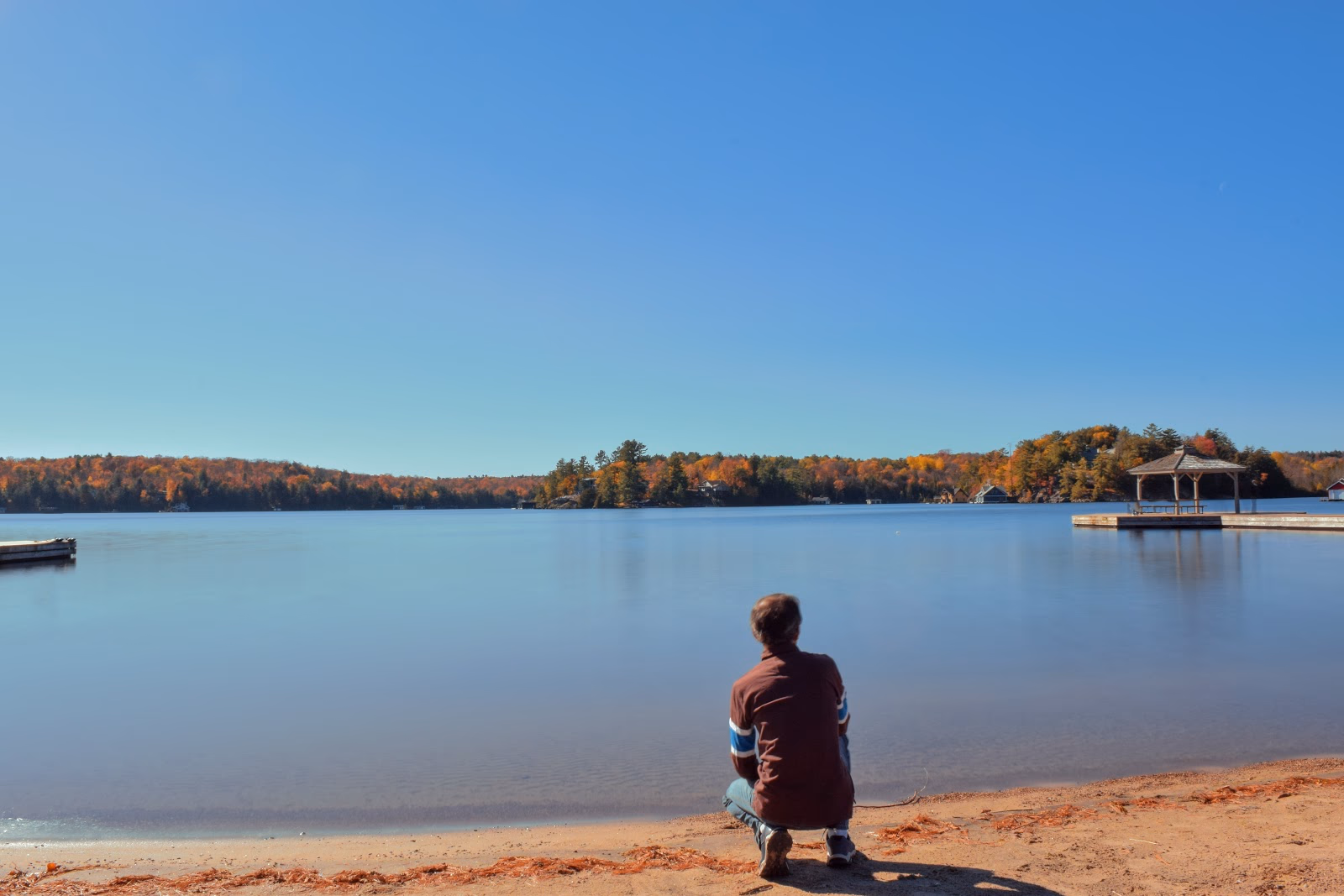 Find Fresh Produce and Gourmet Treats at the Lake Rosseau Farmers Market