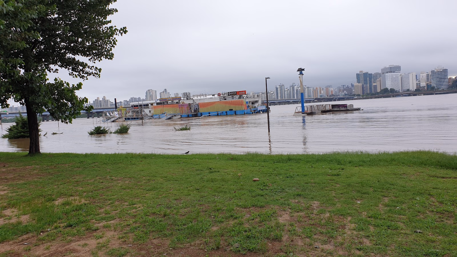 Enjoy a Scenic Cruise Along the Han River