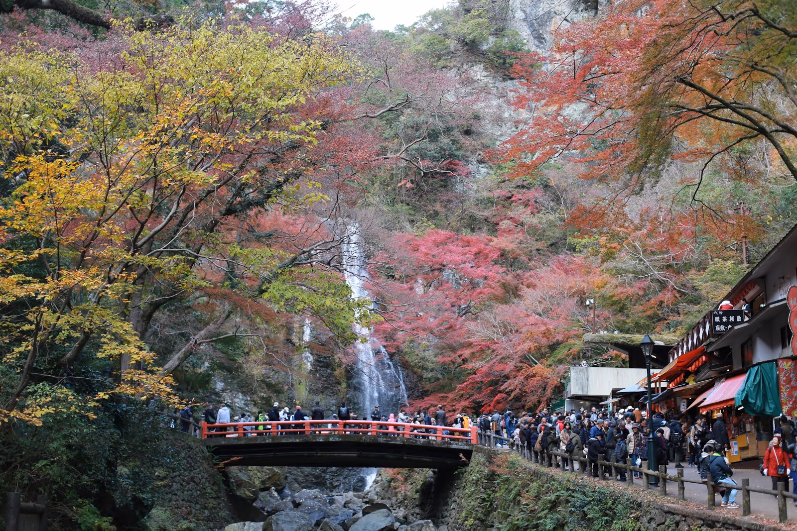 Hike Through the Beauty of Minoo Park