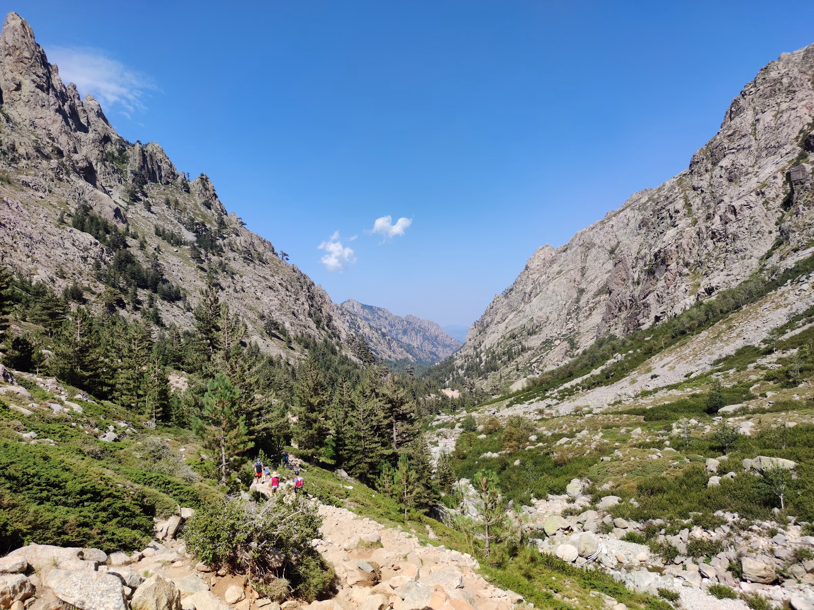 Experience the Thrill of Canyoning in Corsica's Gorges