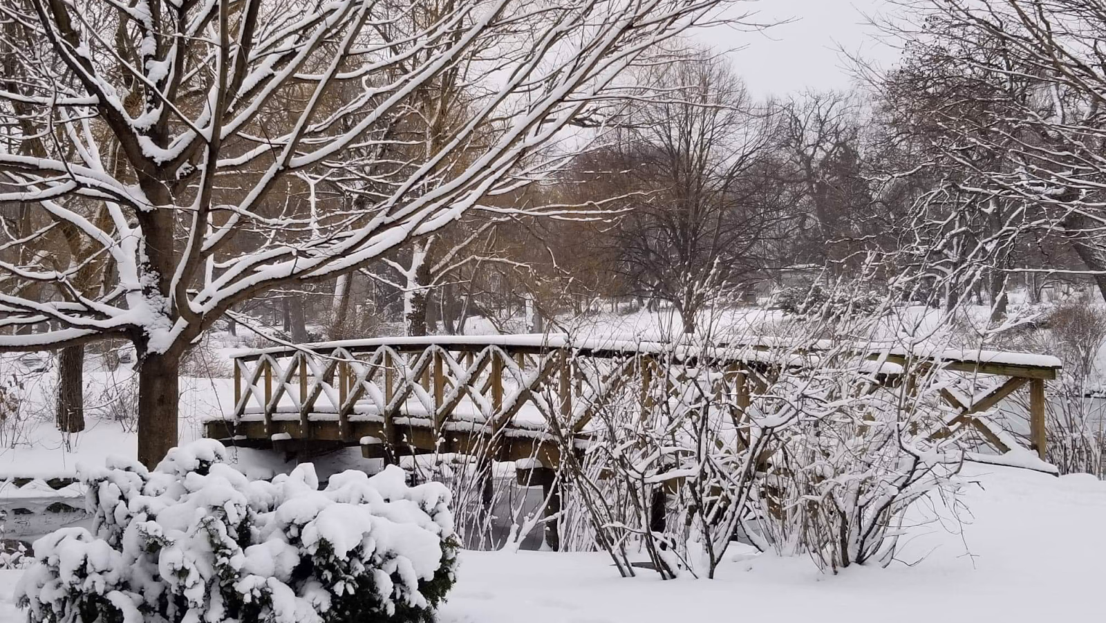 Discover Graceland Cemetery