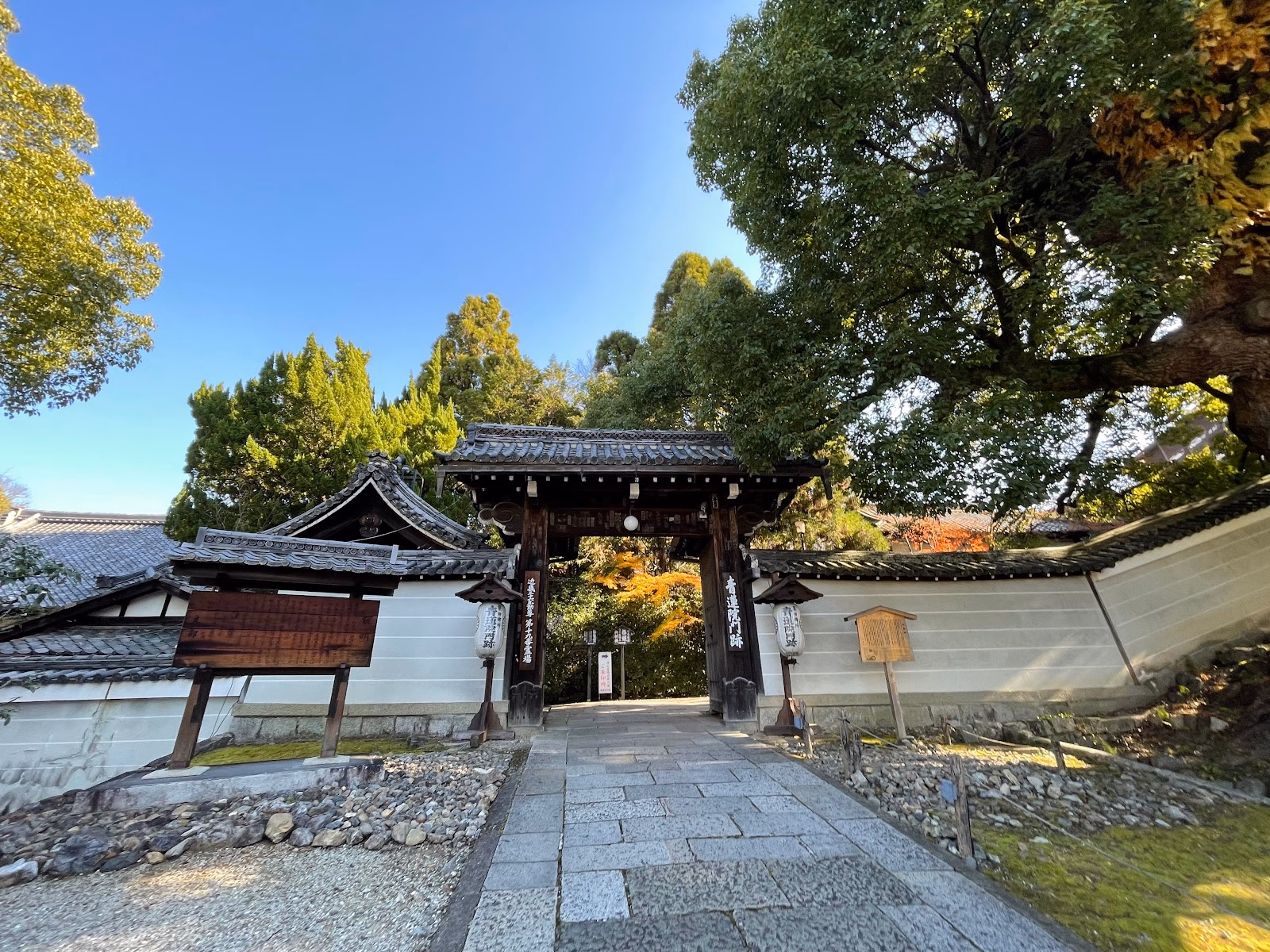 Discover the Serene Beauty of Shoren-in Temple
