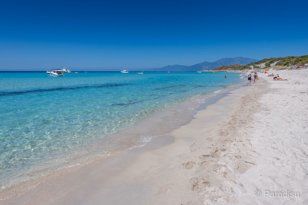 Experience the Beauty of Saleccia