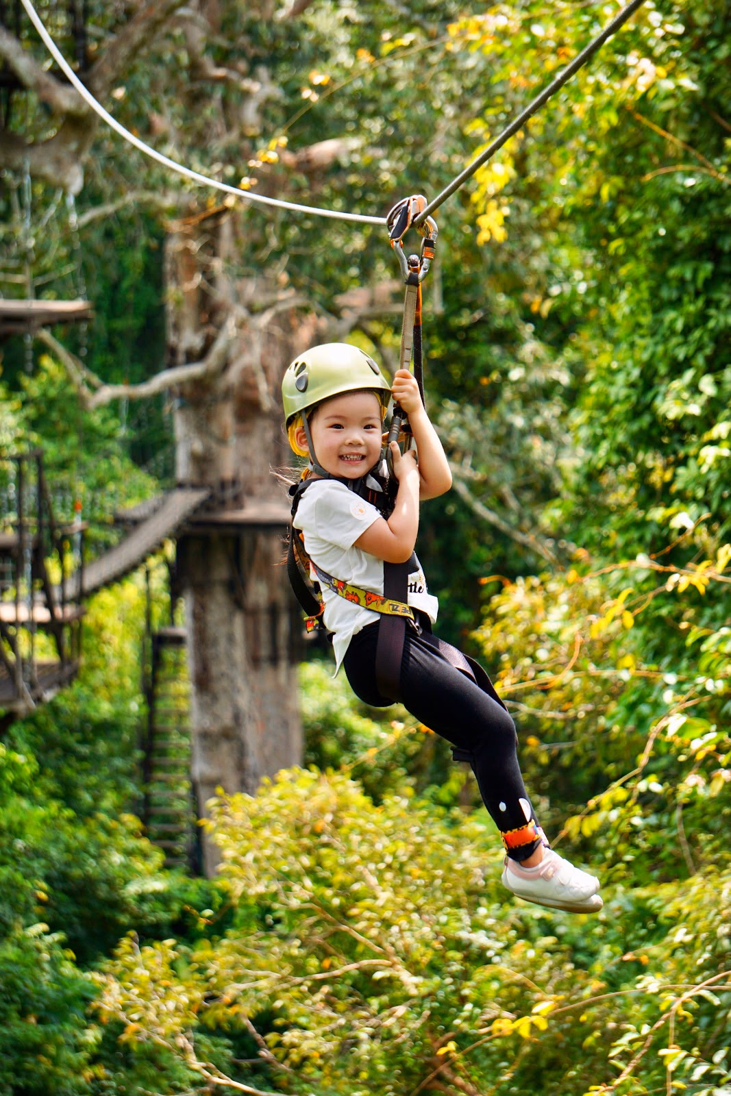 Soar Through the Cambodian Jungle
