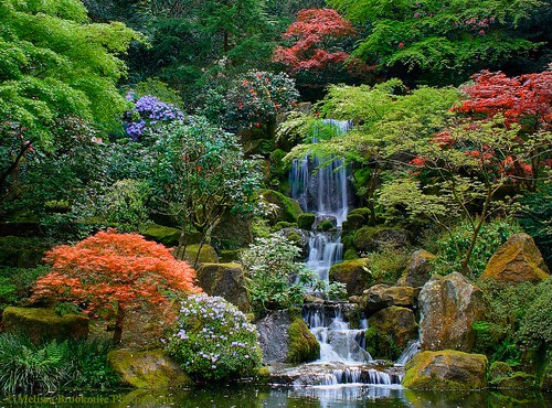 Explore a Japanese Garden