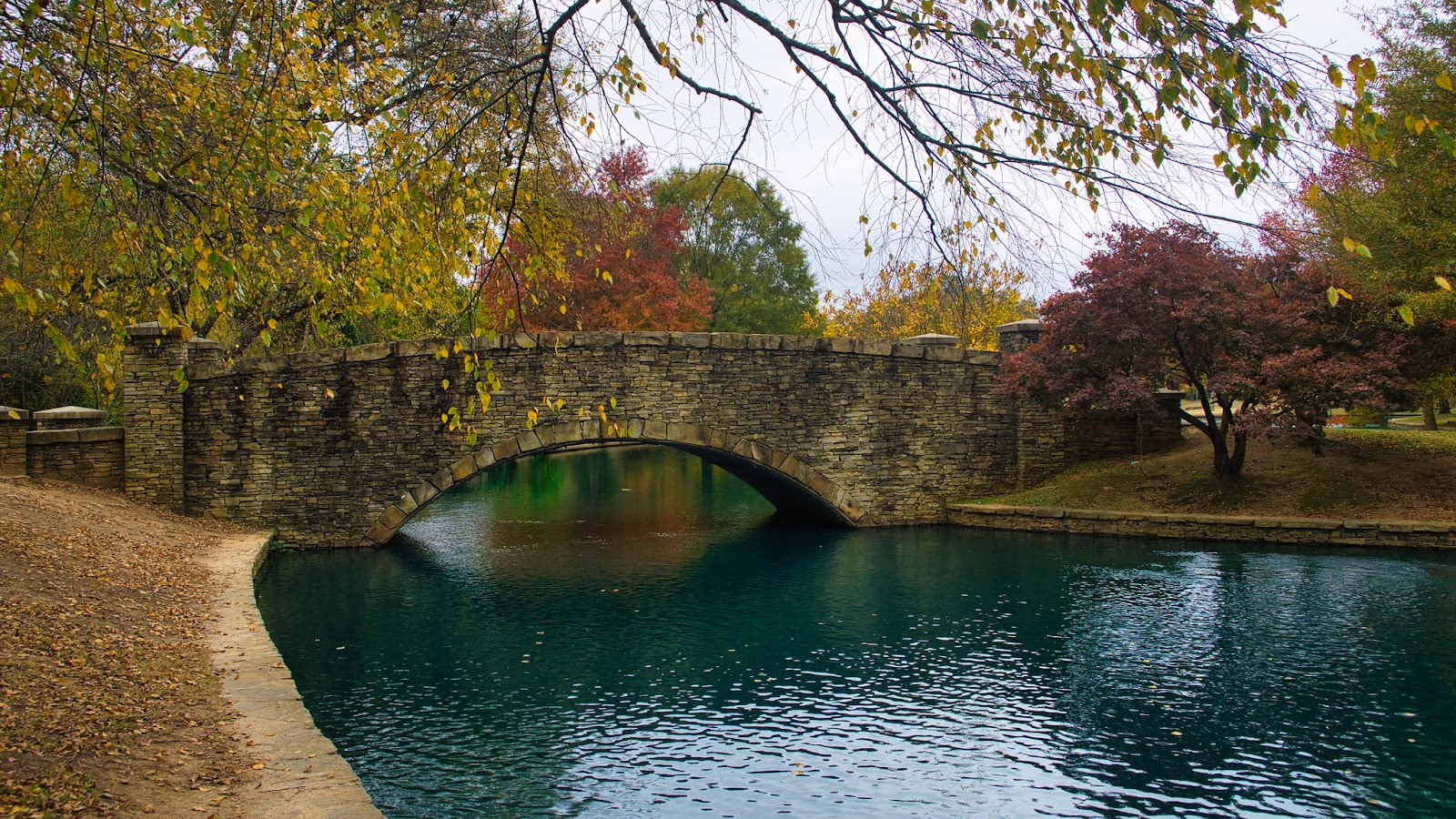 Unwind in a Tranquil Park