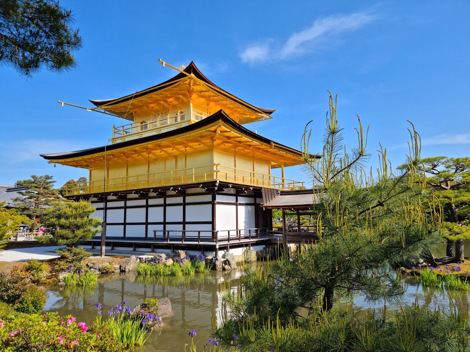 Admire the Golden Pavilion and its Serene Lake Garden