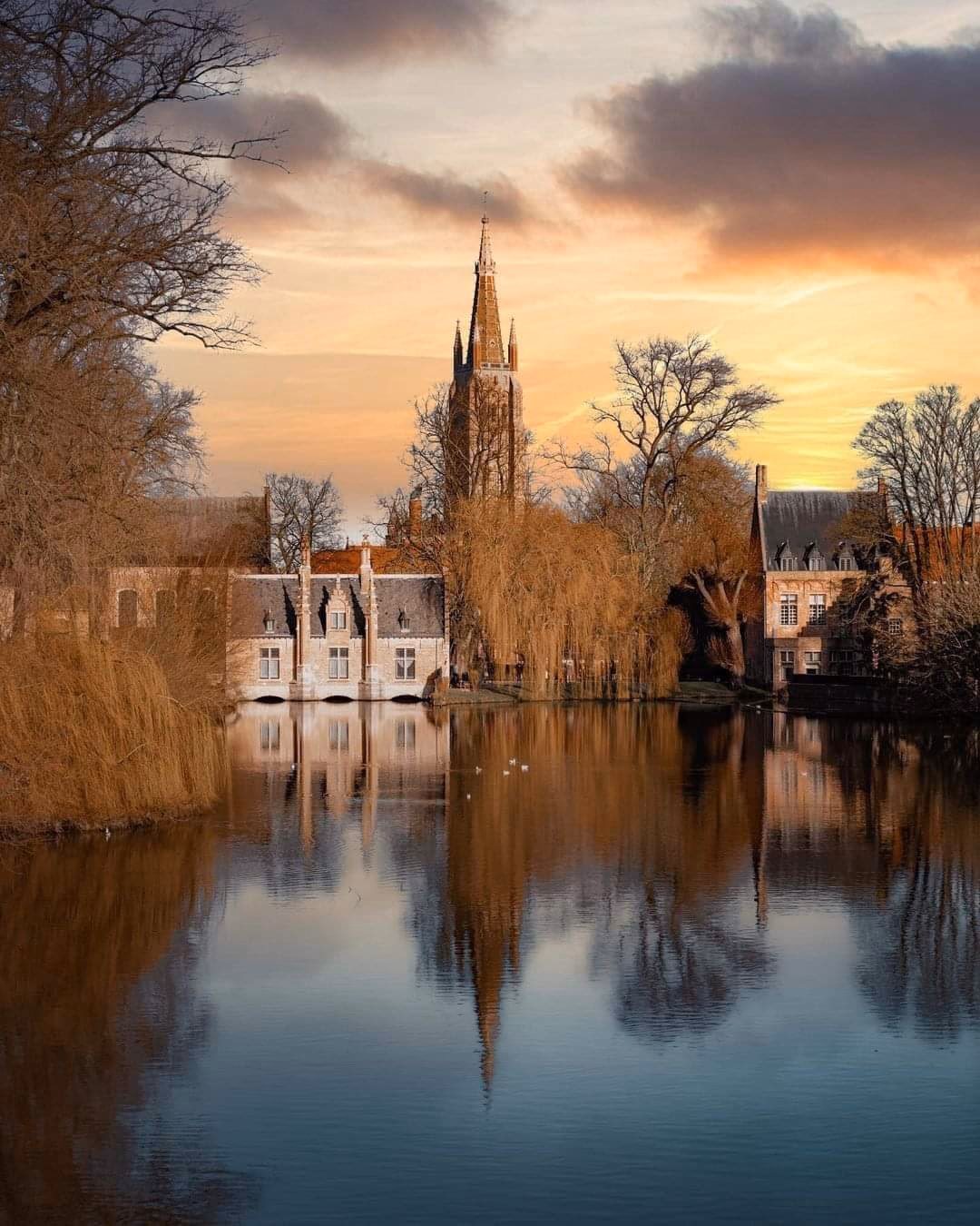 Explore the Canals of Bruges from a Different Perspective