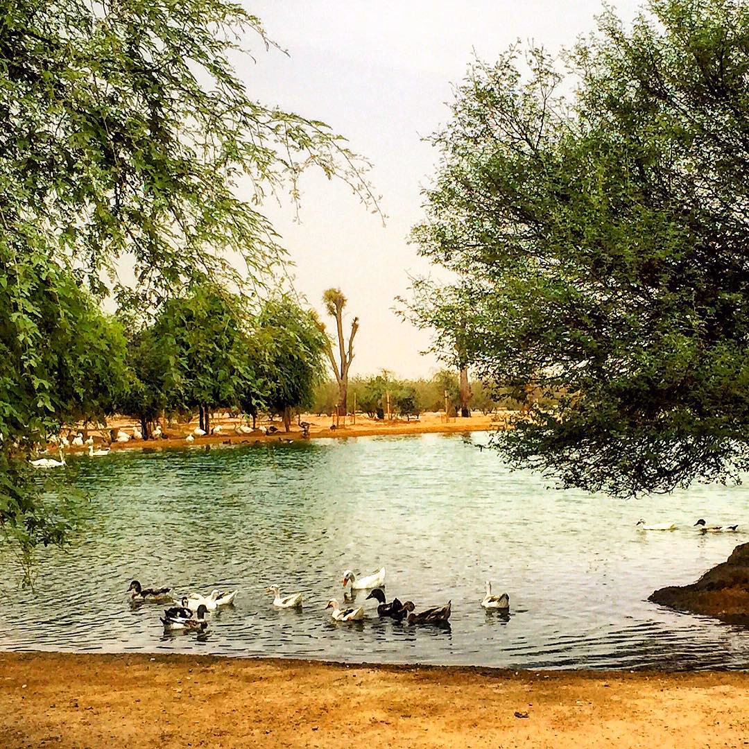 Find Romance at Love Lake
