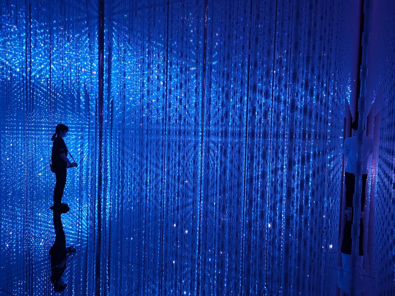 Explore Tokyo's Themed Enchantments
