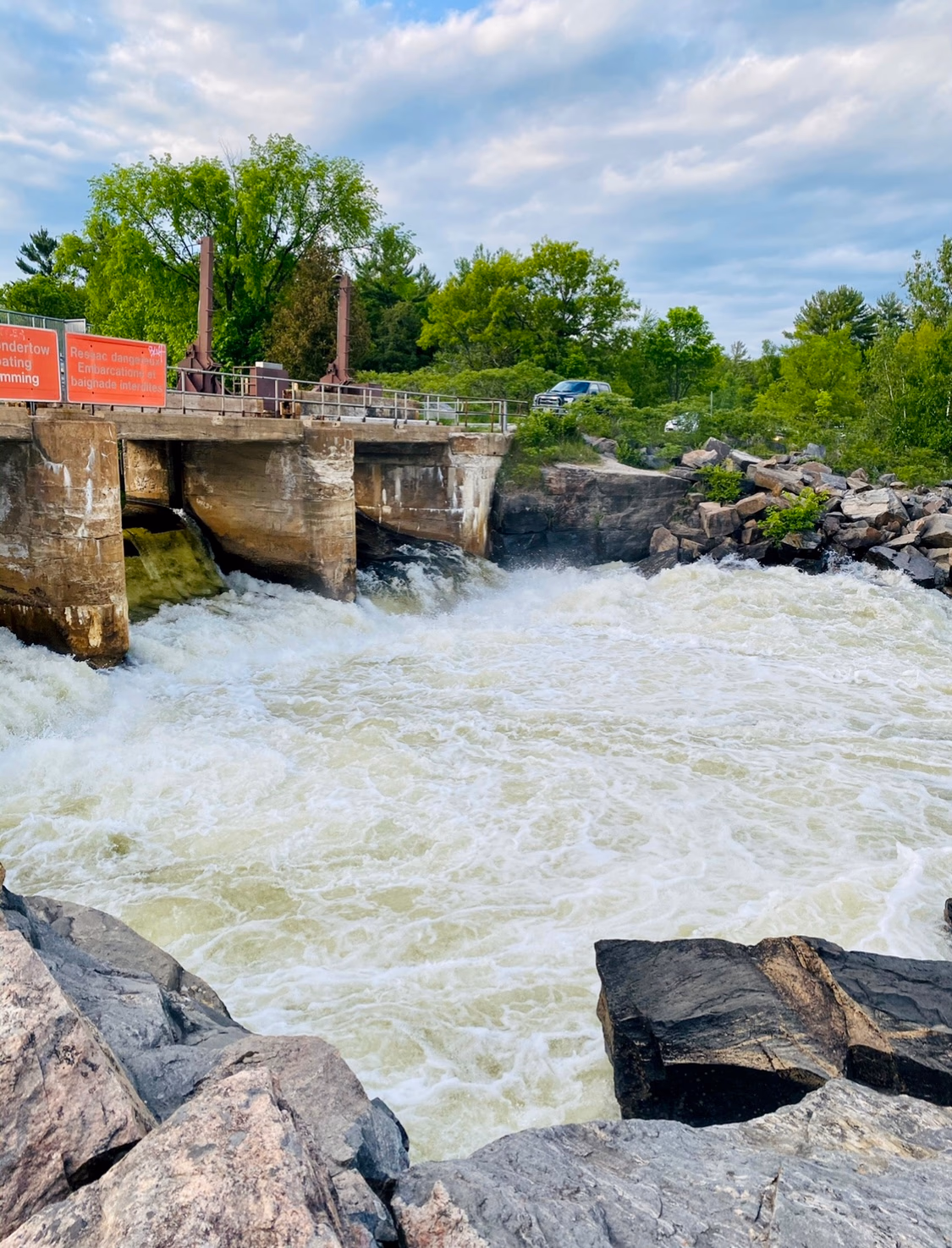 Enjoy a Refreshing Swim at White's Falls