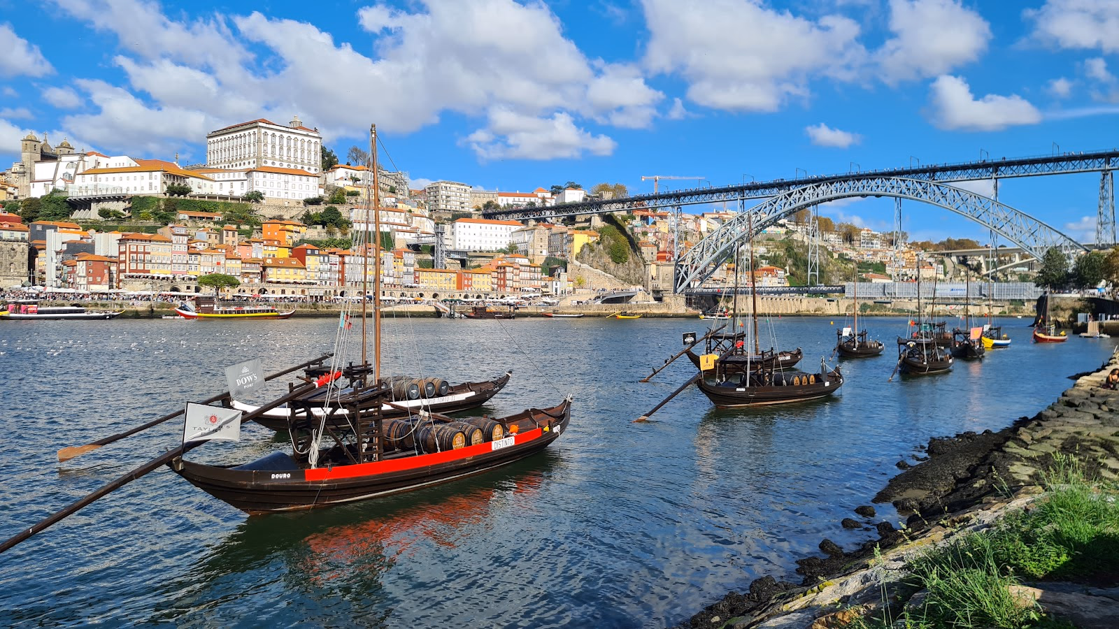 Delve into the World of Port Wine