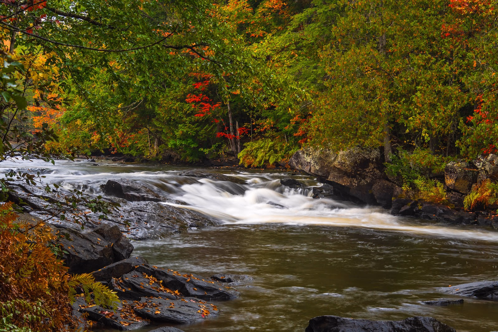 Hike Along Gorgeous White Water Rapids