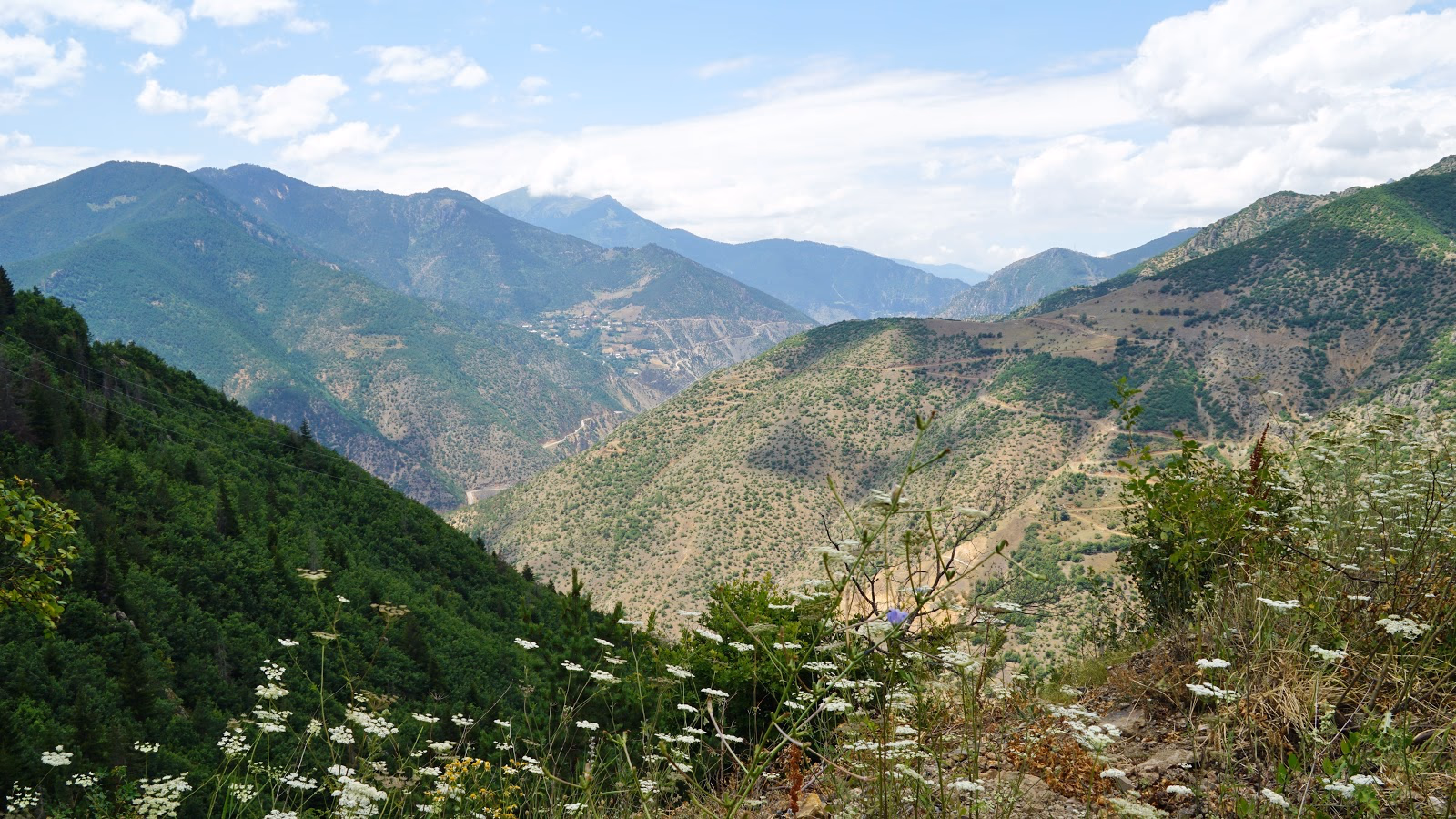 Hit the Slopes of Hamsiköy's Mountain