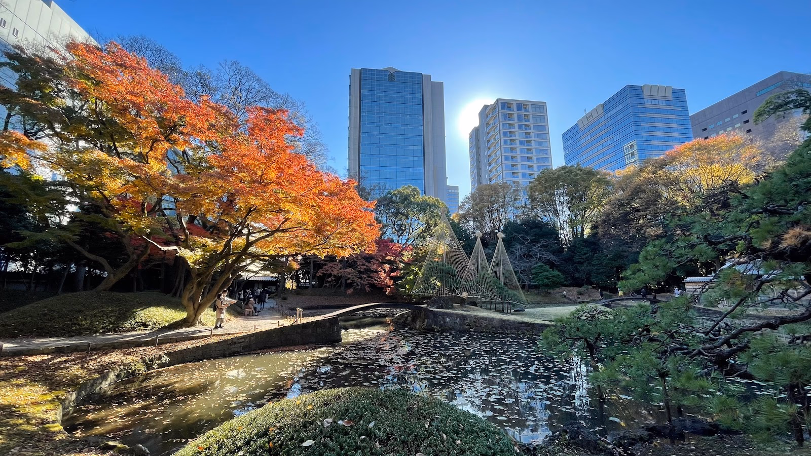 Stroll Through the Beautiful Koishikawa Korakuen Garden