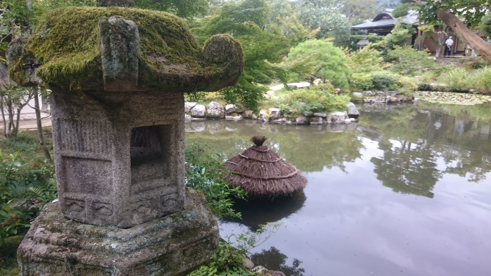 Take a Day Trip to Nara and Interact with Friendly Deer