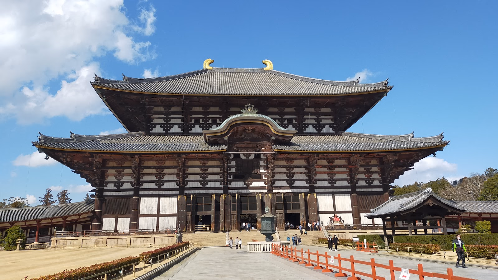 Feed the Friendly Deer of Nara Park