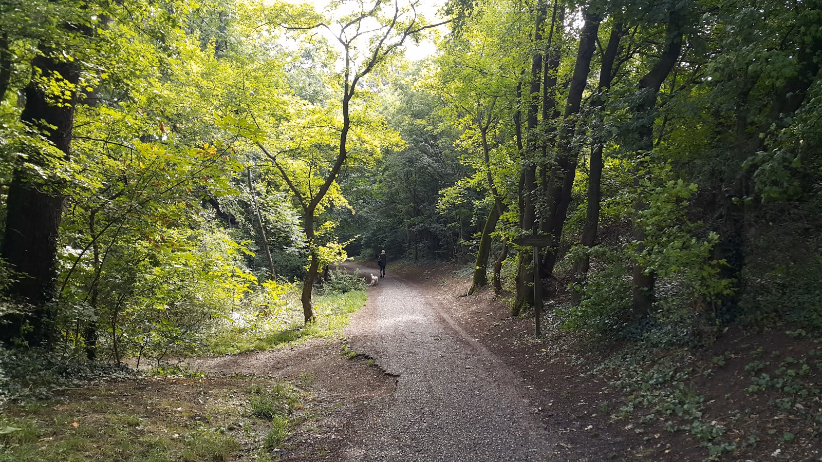 Escape to the Tranquility of the Vienna Woods