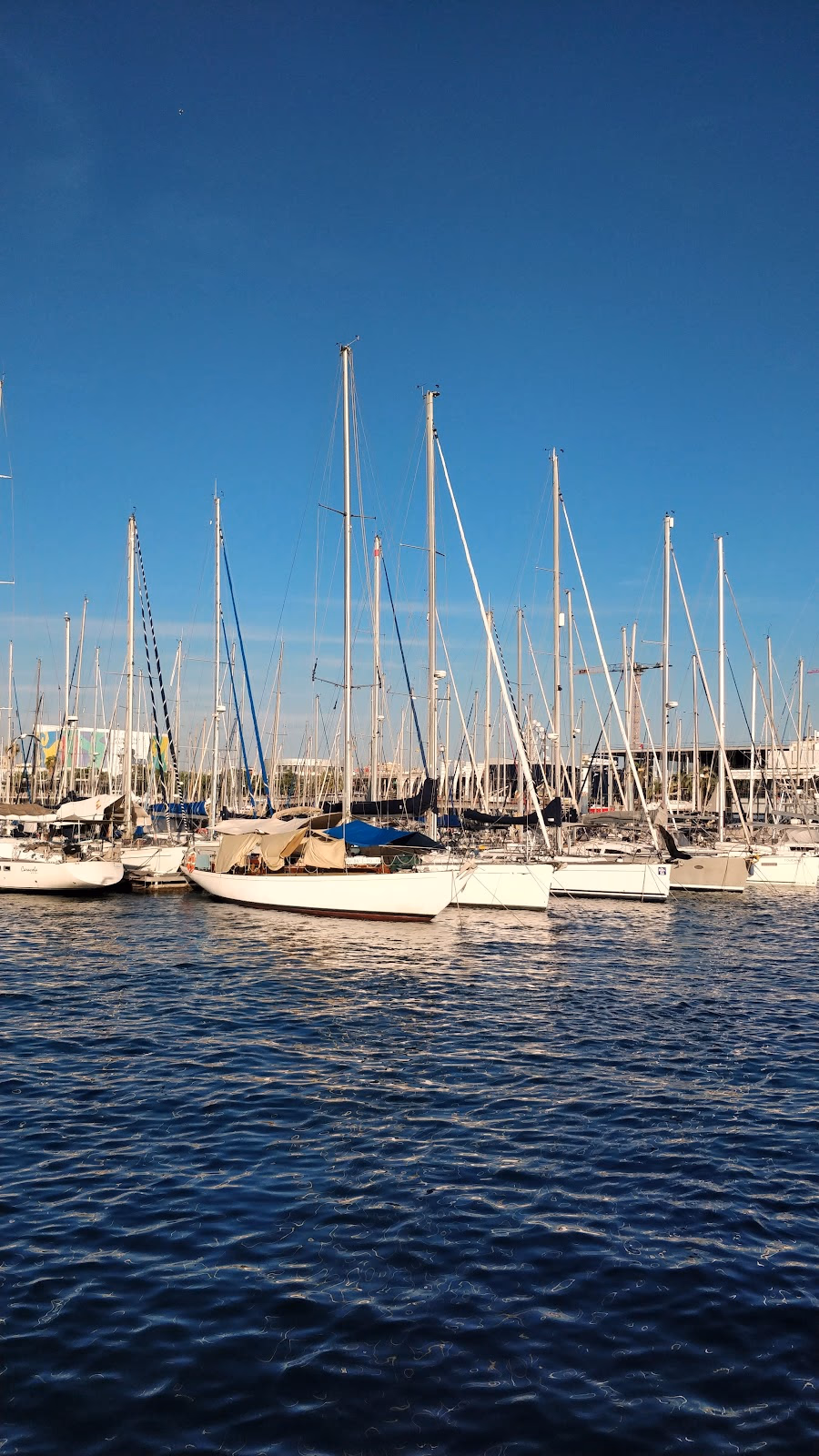 A Romantic Catamaran Cruise Along the Coastline