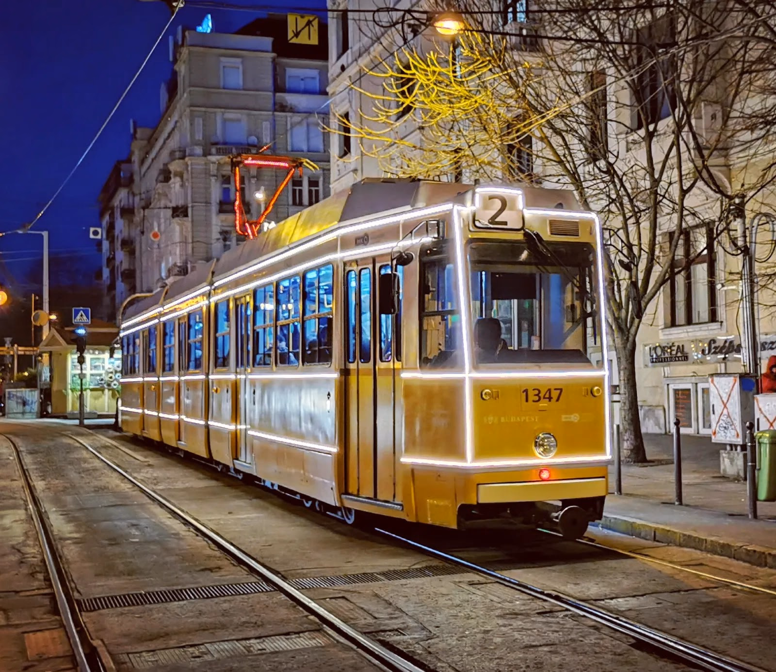 Ride the Christmas Light Tram