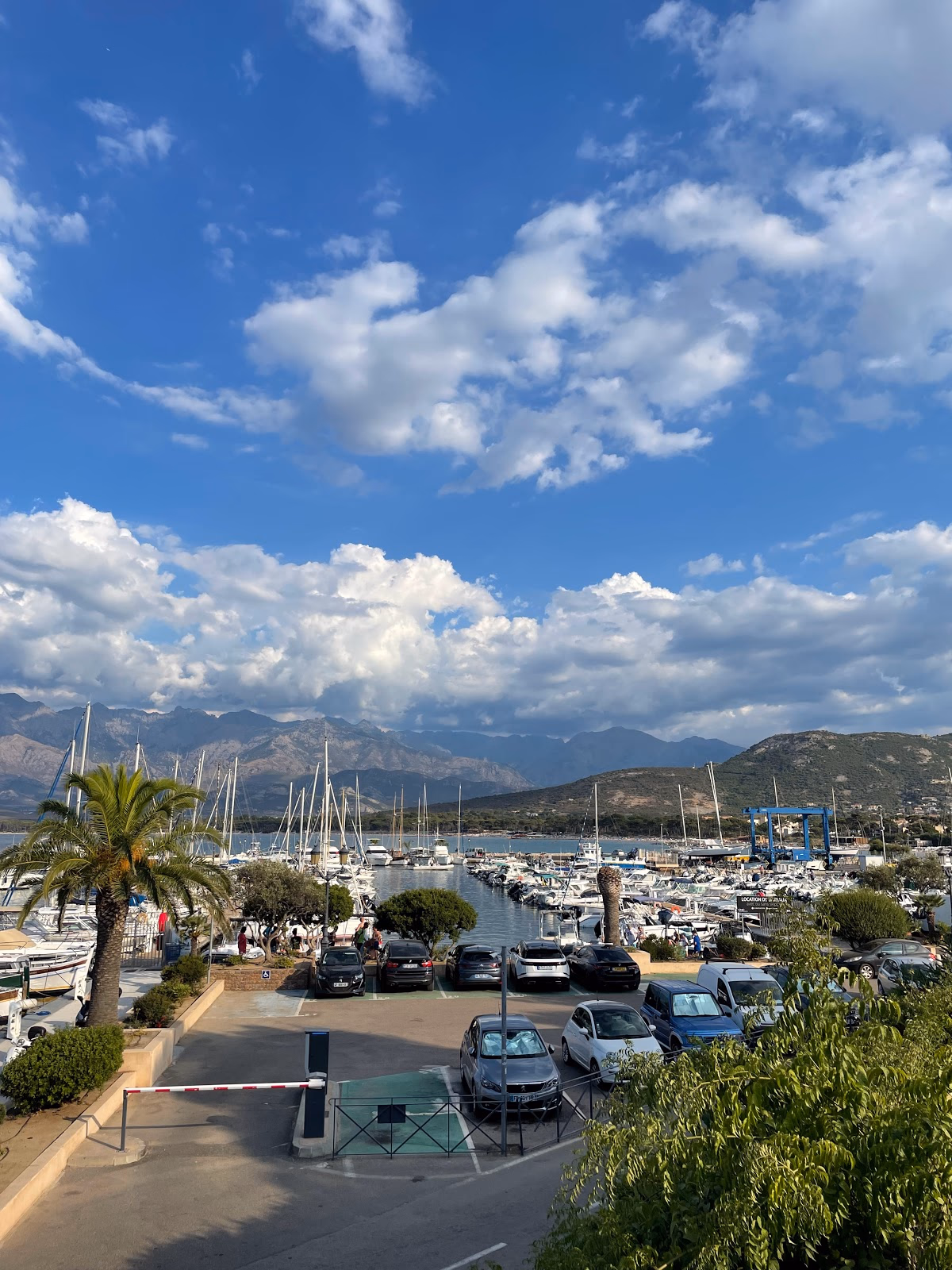 Discover Corsica's Dramatic Cliffs and Marine Life