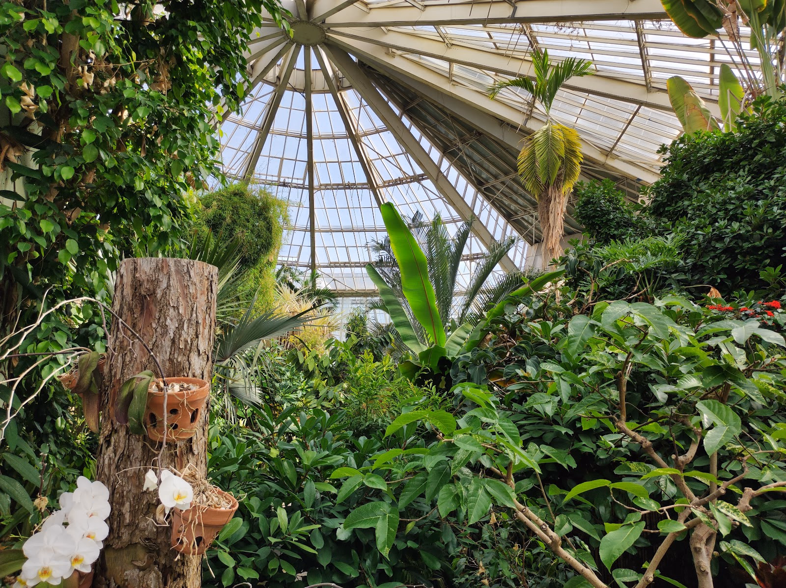 Escape to the Oasis of Parc Phoenix