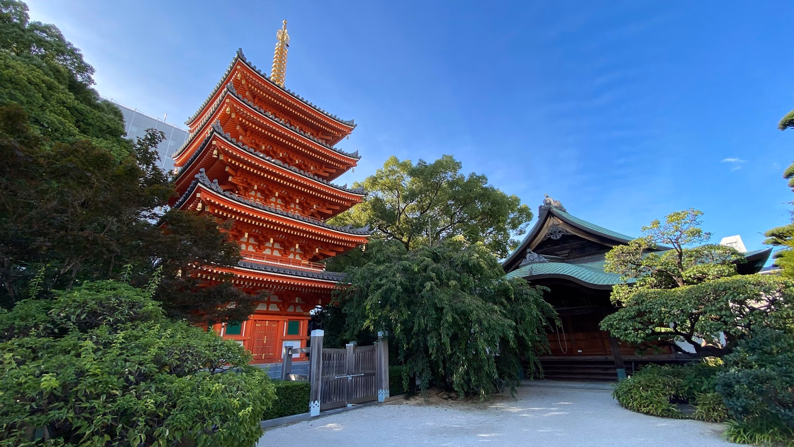 Discover Fukuoka's Historical Heart