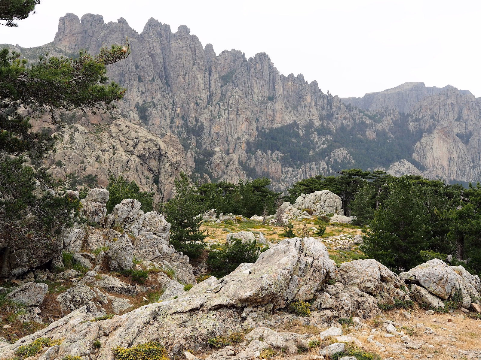 Drive to the Summit of the Bavella Needles