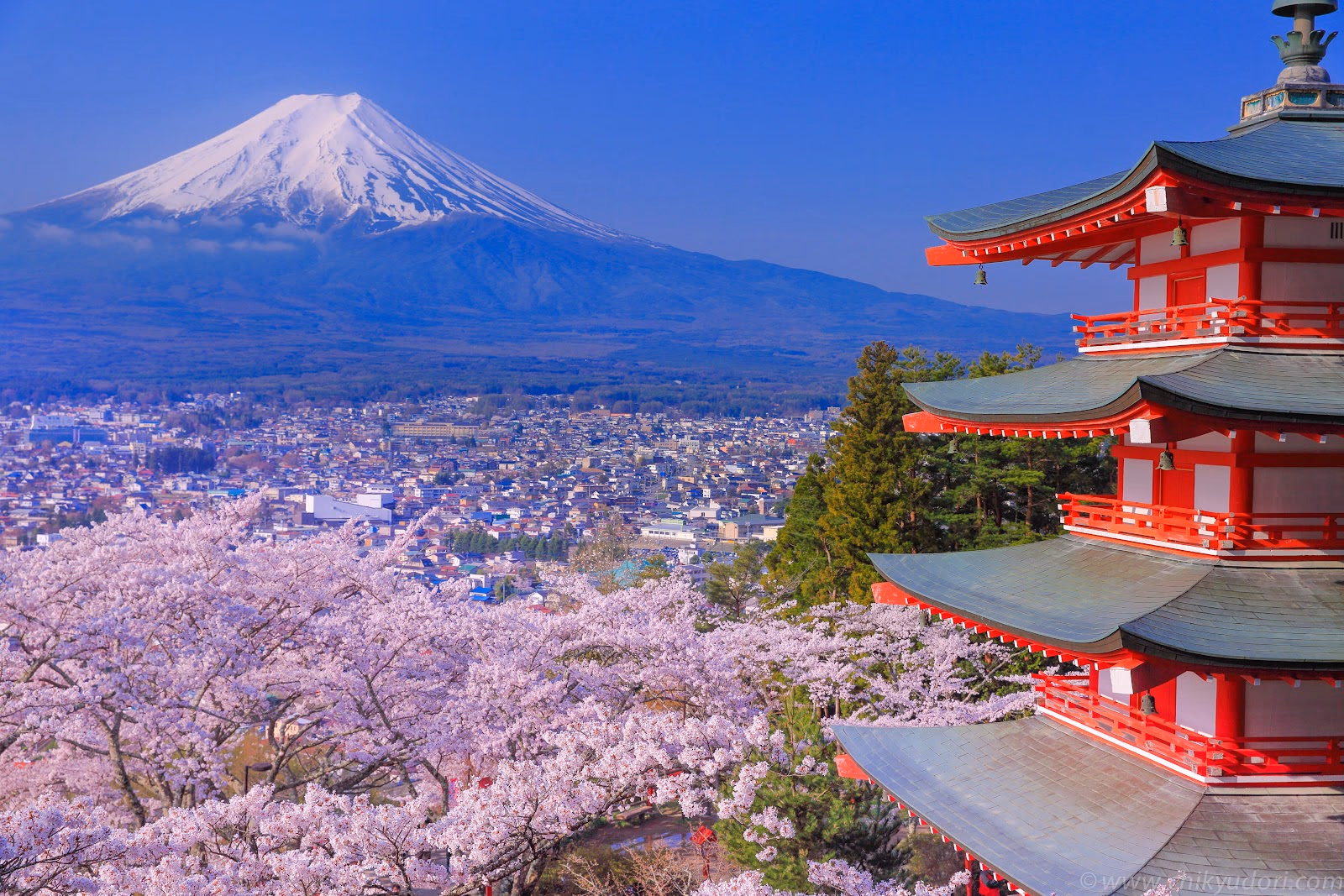 Enjoy Breathtaking Views of Mount Fuji from Chureito Pagoda