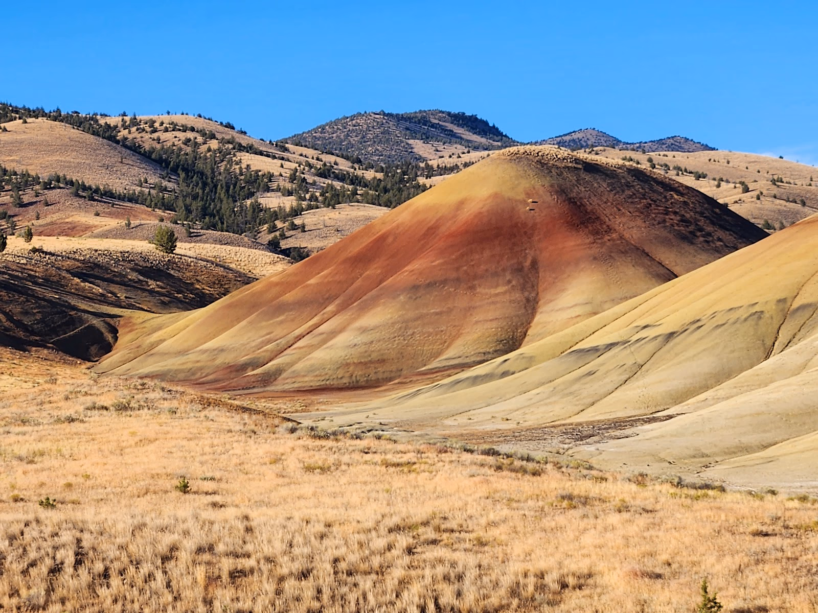 See Oregon's Painted Hills